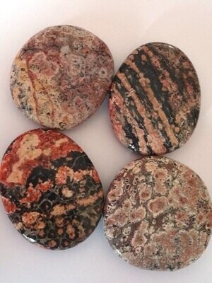 Agate Turritelle Agate Turritelle