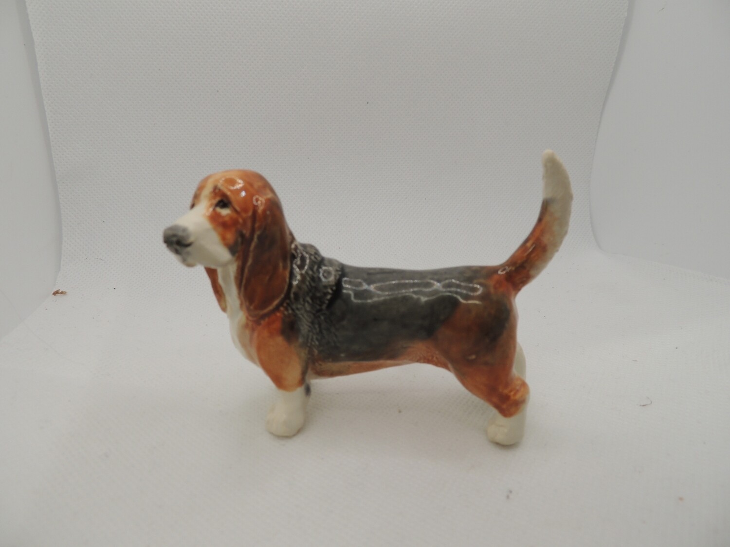 Basset hound, standing black saddle tri