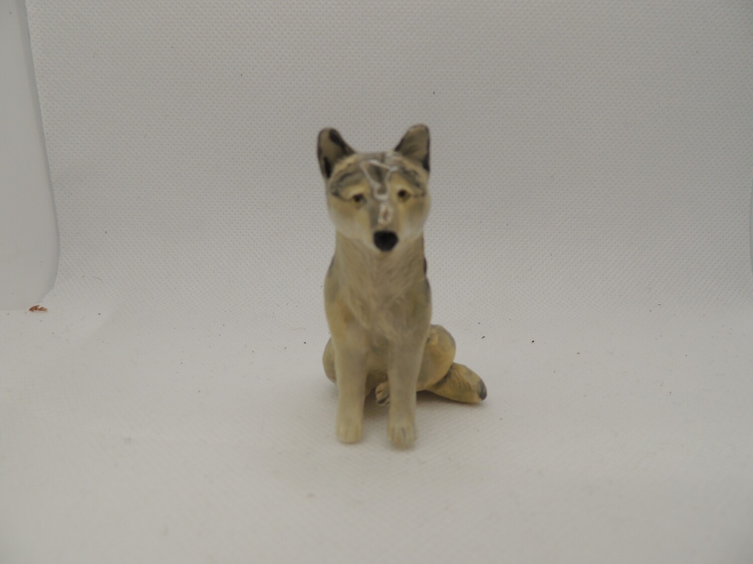 Mini wolf- sitting