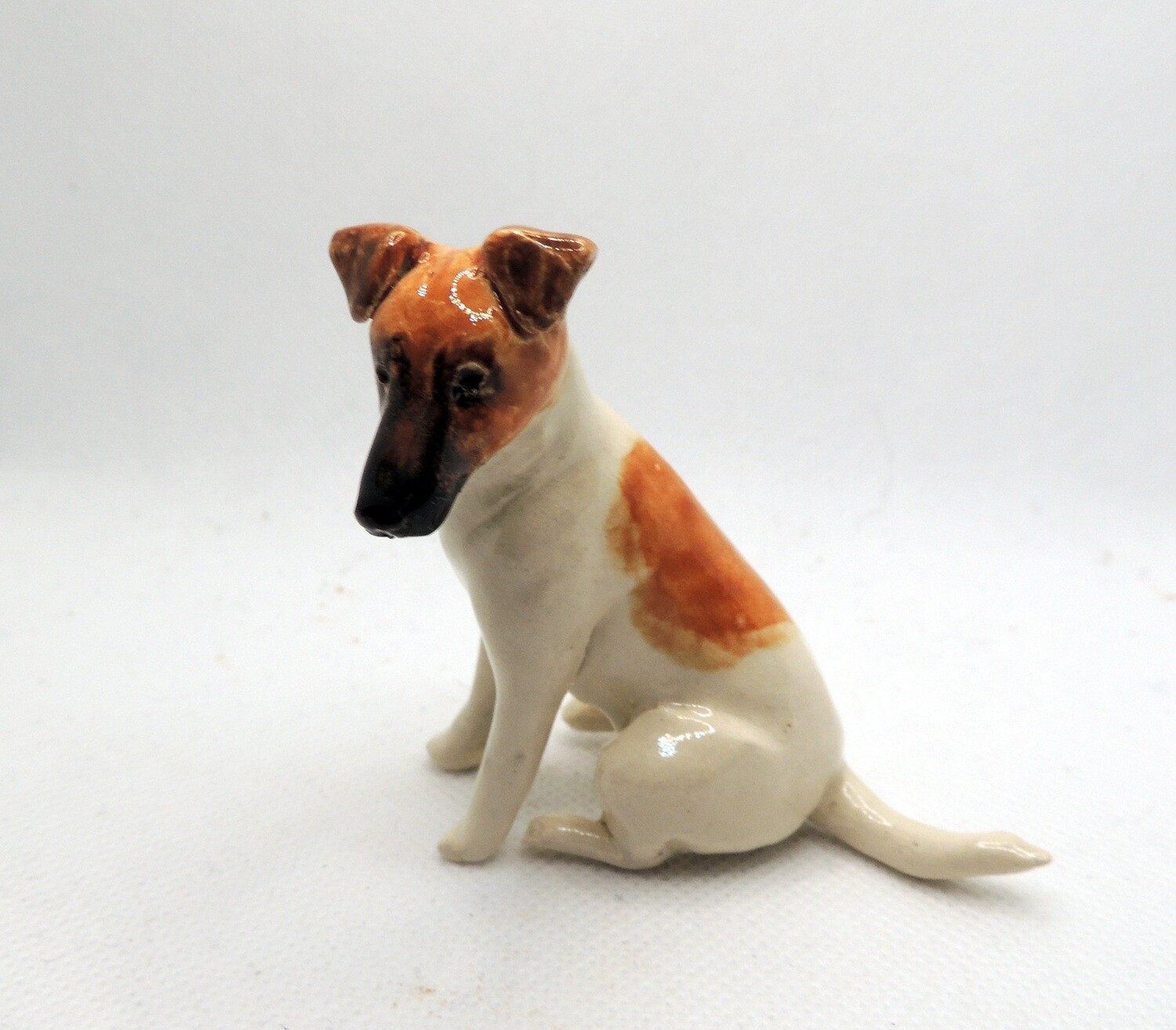 Smooth fox terrier sitting