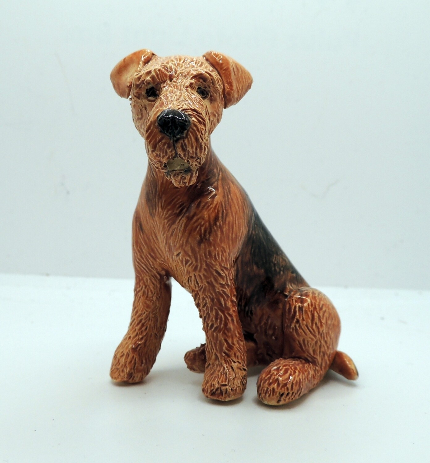 Airedale Terrier, sitting