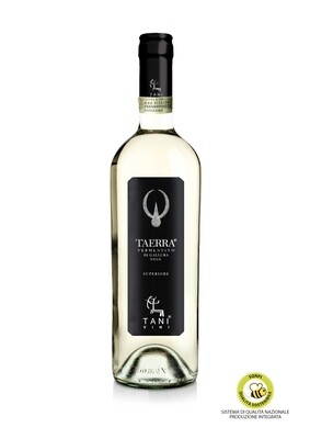 Vermentino di Gallura Superiore DOCG "Taerra", Cantina Tani