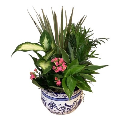 Delft Blue Ceramic Dish Garden Planter
