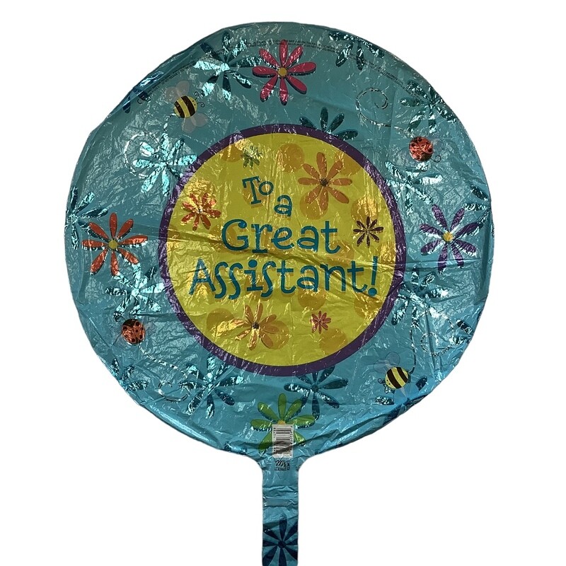 Turquoise Assistant