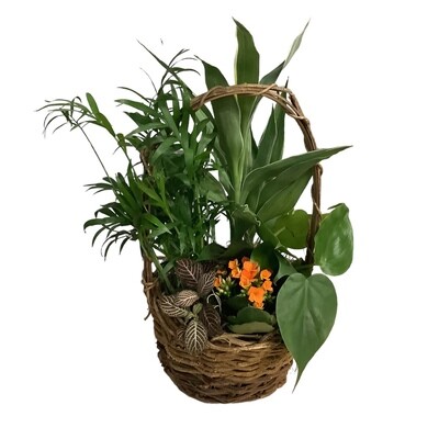 Botanical Green Haven Basket
