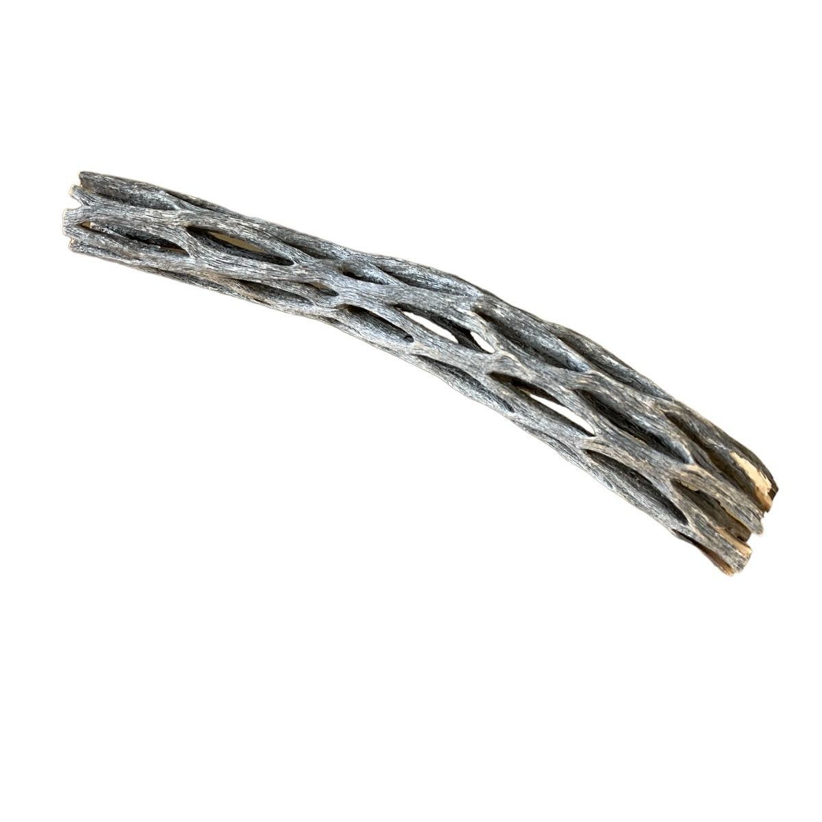 Desert Oasis Cholla Wood (4 Pack)