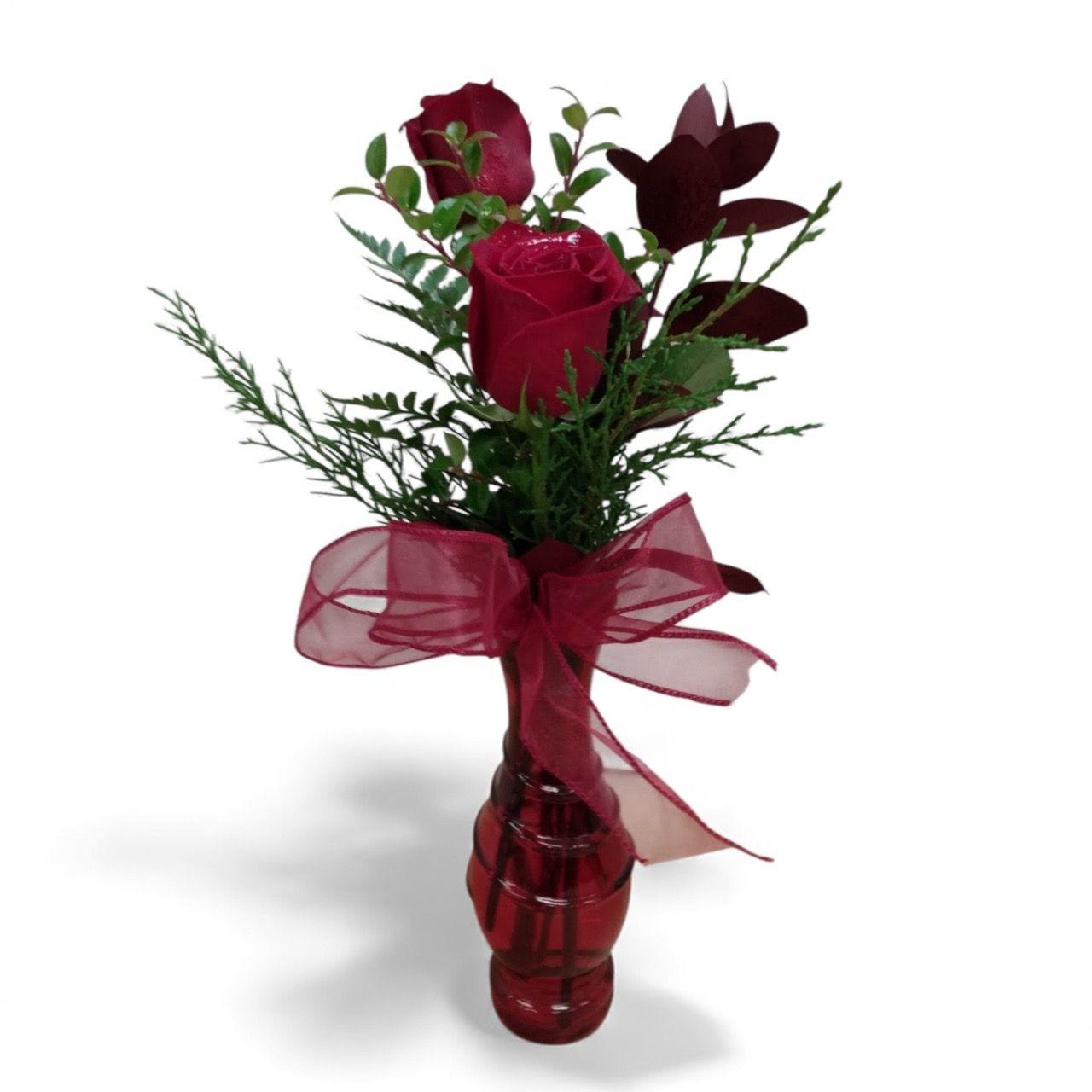 Feature of the Day 8