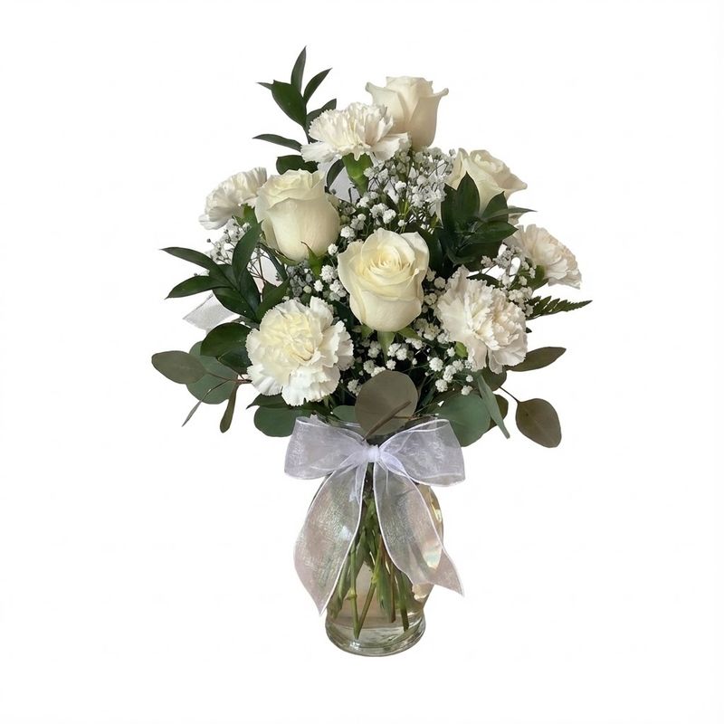 Timeless Beauty - Winter Edition