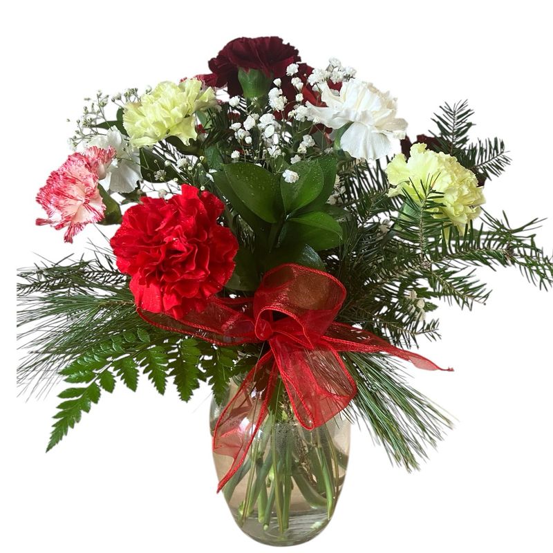 Carnations Vased - Winter Edition