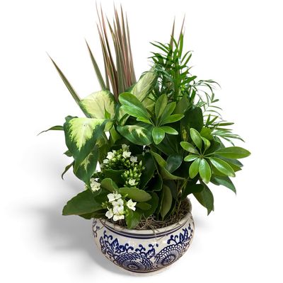 Delft Blue Ceramic Dish Garden Planter