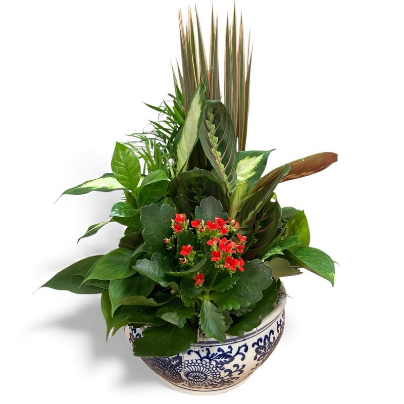 Delft Blue Ceramic Dish Garden Planter