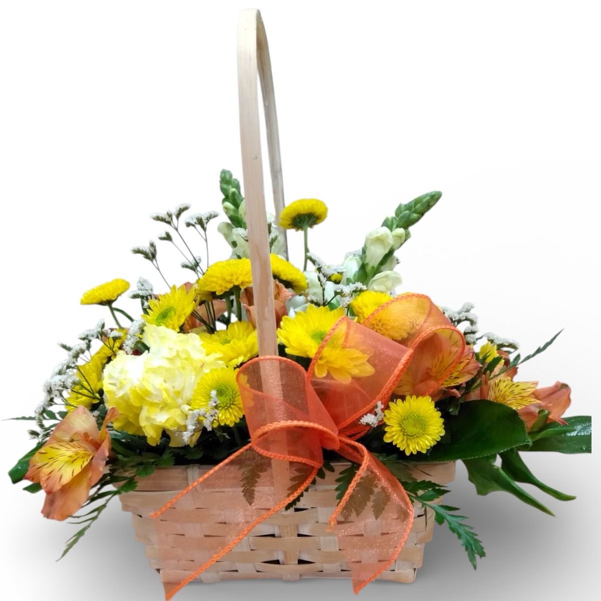 Feature of the Day 7