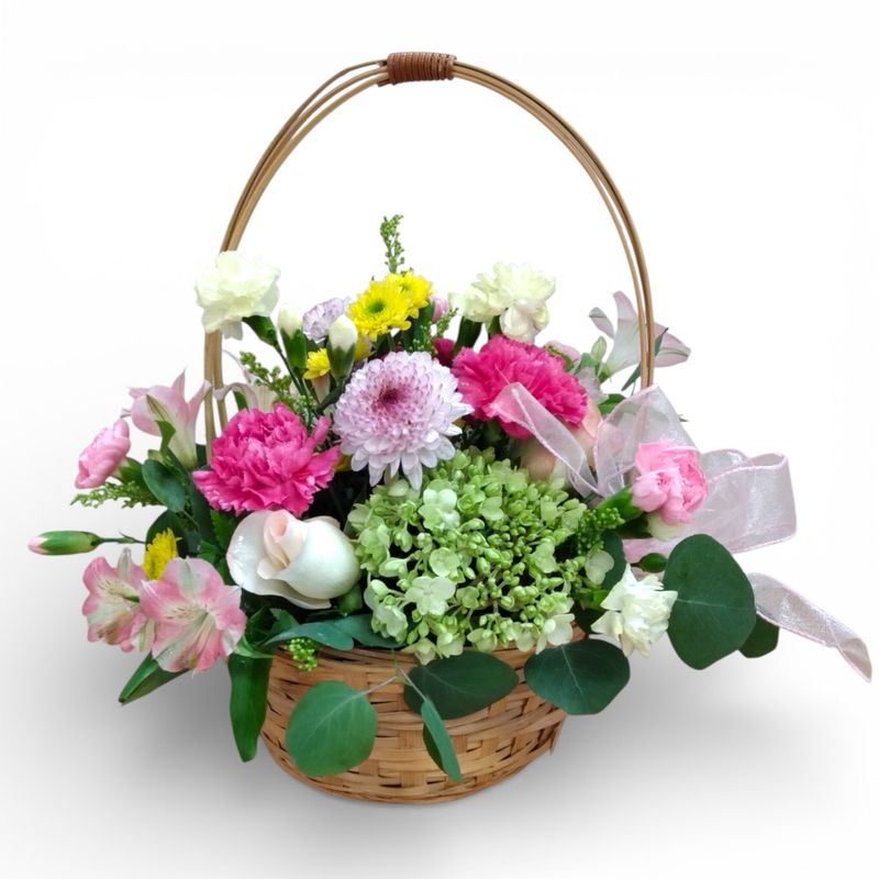 Feature of the Day 7