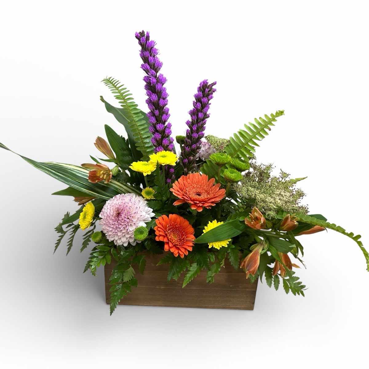 Feature of the Day 9