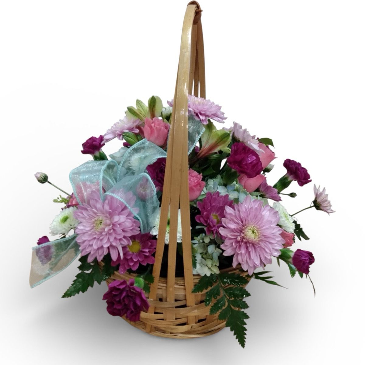 Feature of the Day 3