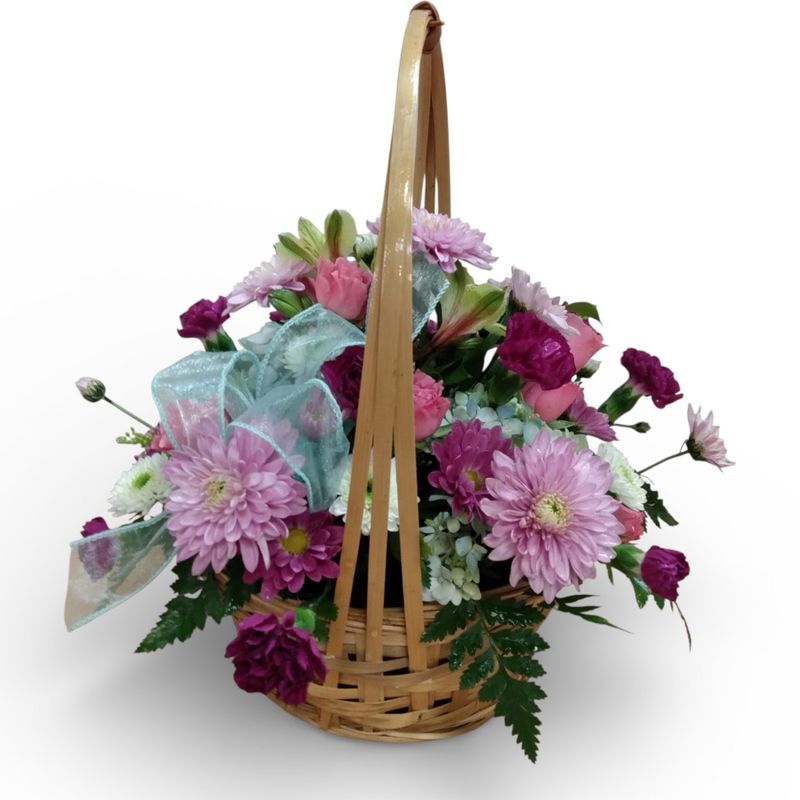 Feature of the Day 3