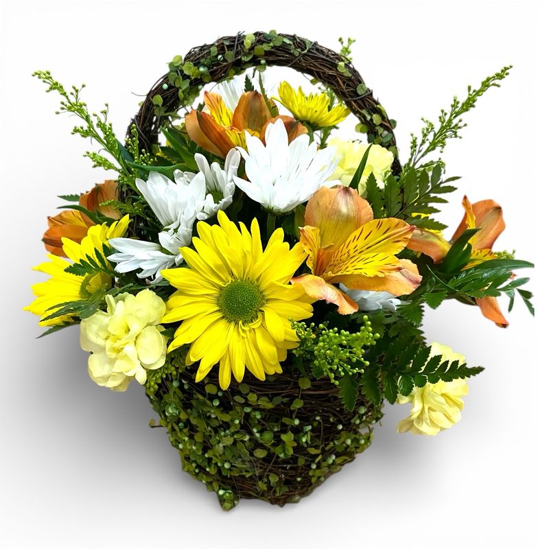 Feature of the Day 6