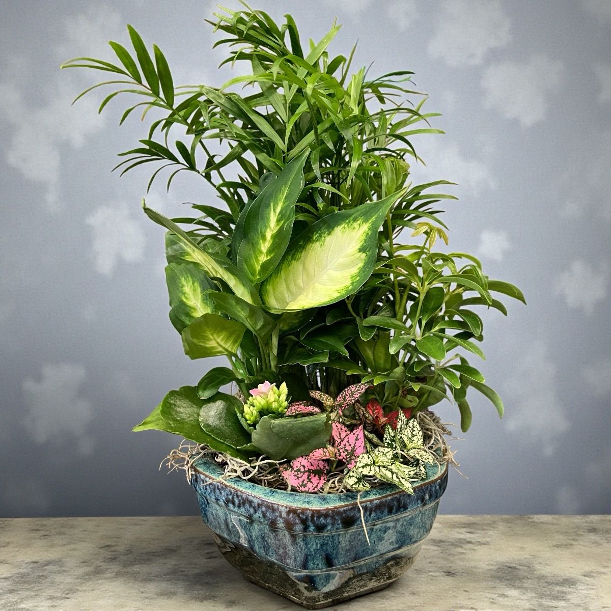 Petite Ceramic Dish Garden - 6”