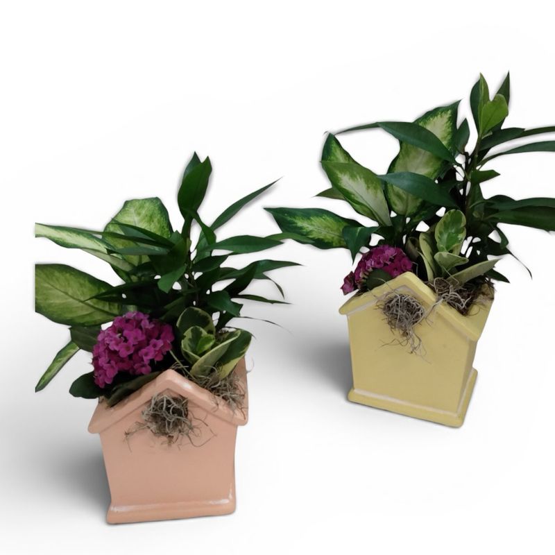 Birdhouse Dish Garden