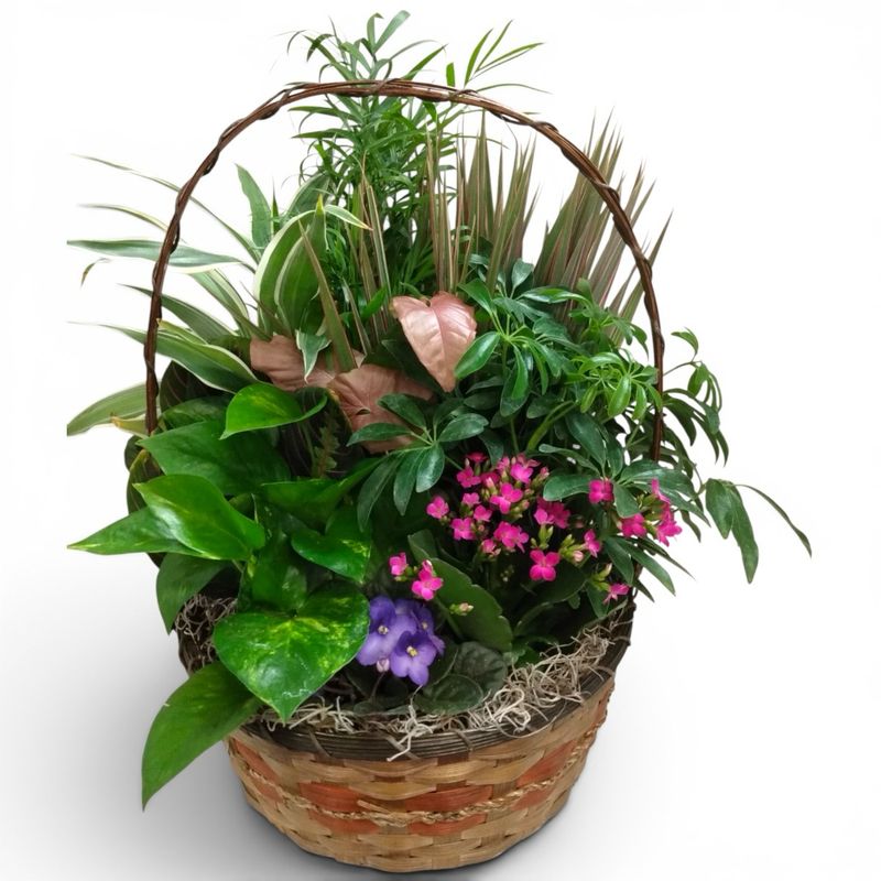 Basket Garden Collection