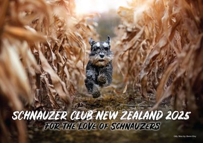 2025 Schnauzer Club NZ Calendars - Limited Stock