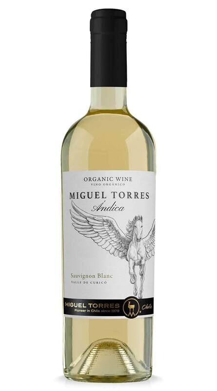 Andica, Sauvignon Blanc 2020 CURICO VALLEY