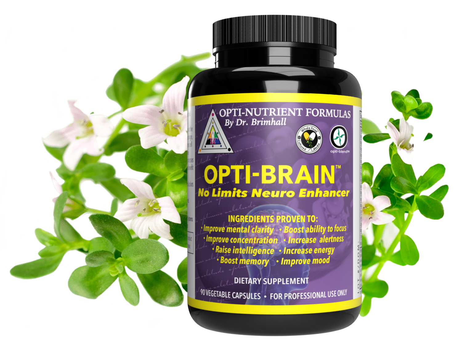 Opti-Brain