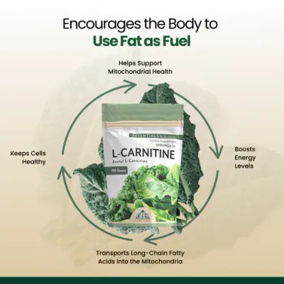 Essential L-Carnitine
