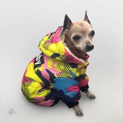 Rainbow Puffer Jacket 	★★★★★₍​​₉₆₂₎