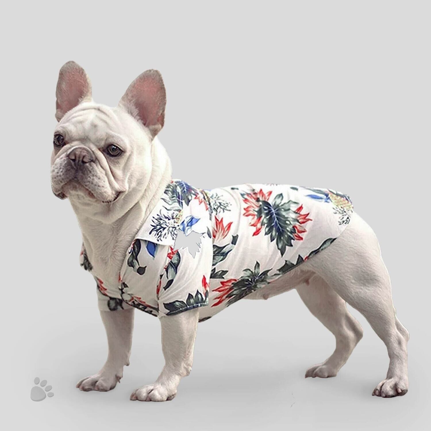 Summer Polo  ‍‍ㅤㅤㅤㅤ 	★★★★★₍​​₆₉₀₎