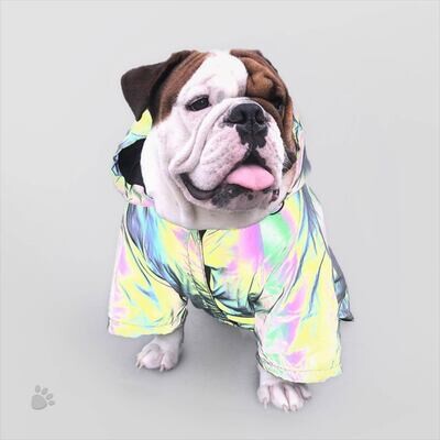 Reflective Coatㅤㅤ★★★★☆₍​₂₉₁₎