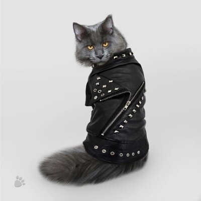 Leather Jacketㅤㅤ	★★★★★₍​​₁₇₇₎