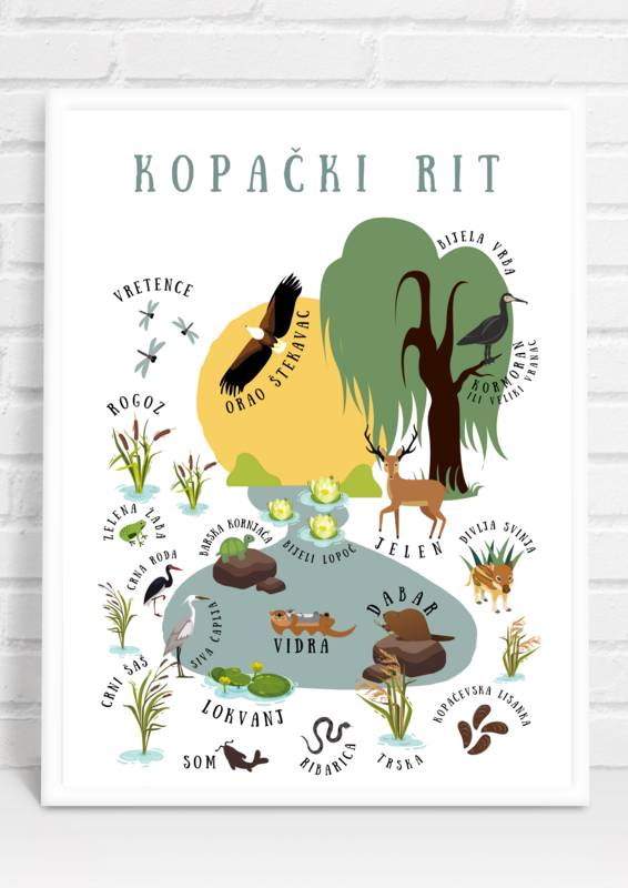 Poster Kopački rit - set