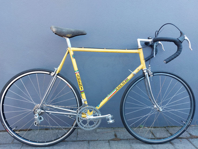 XL Road Bikes