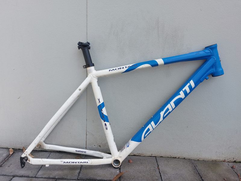 AVANTI montari   MTB  49cm