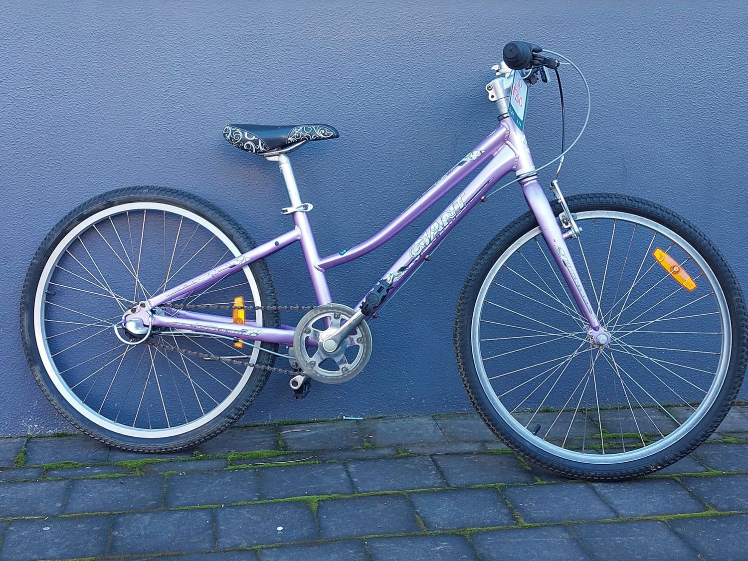 24 Inch - Kids - Giant Veer 24