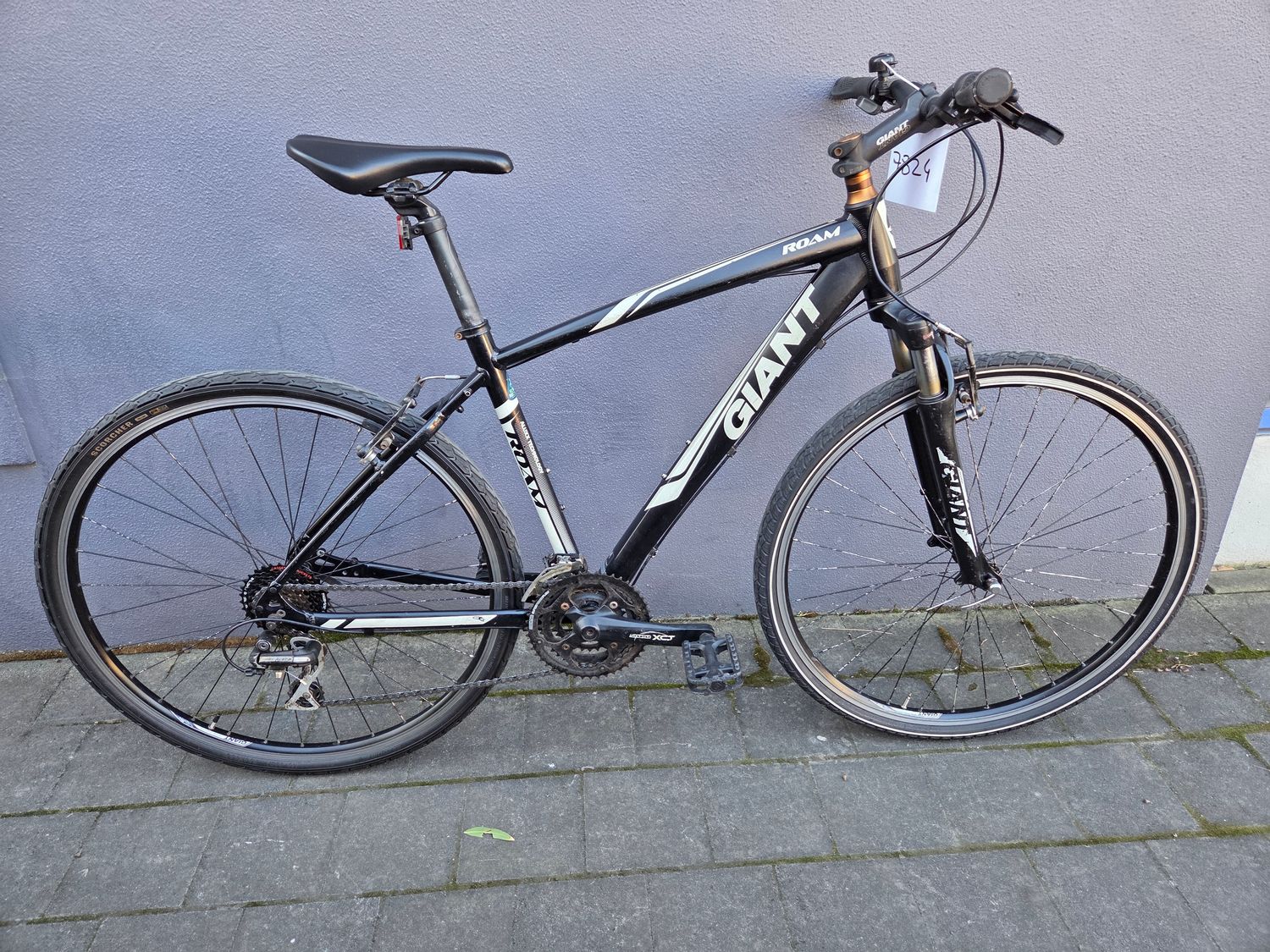 M - Hybrid - Giant Roam