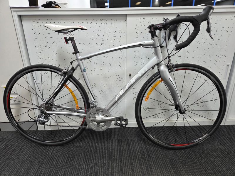 M/L - Road - Avanti Giro