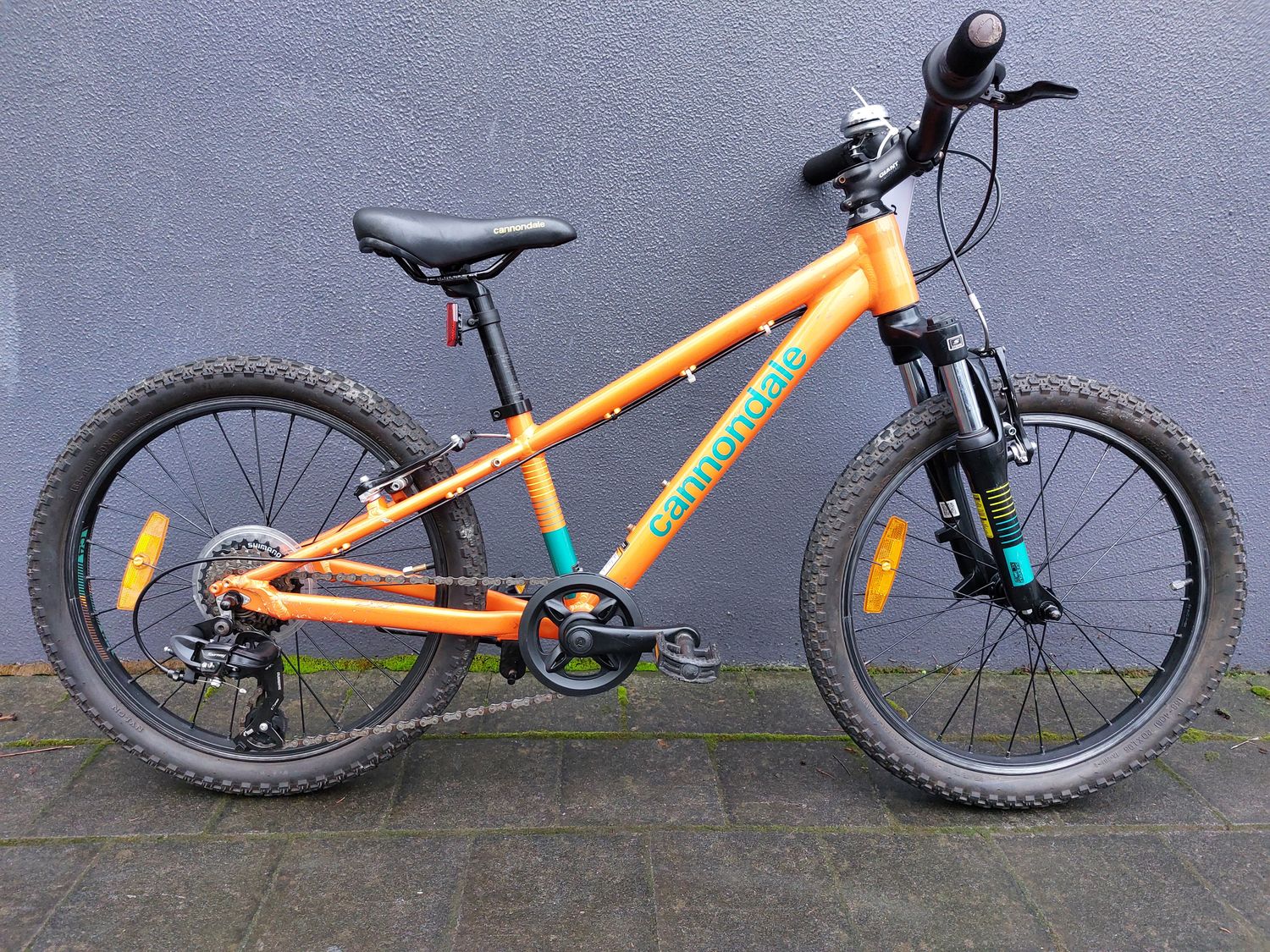 20 Inch - Kids - Cannondale Happy Trails