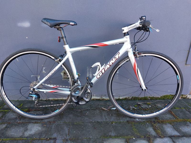 S/M - Hybrid - Giant TCR 2