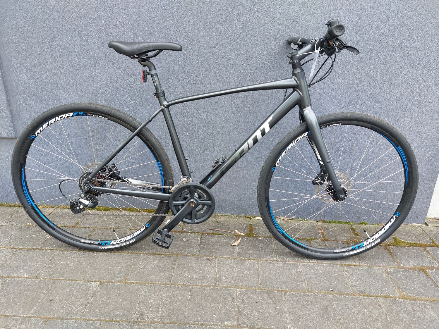 M - Hybrid - Giant Crossway