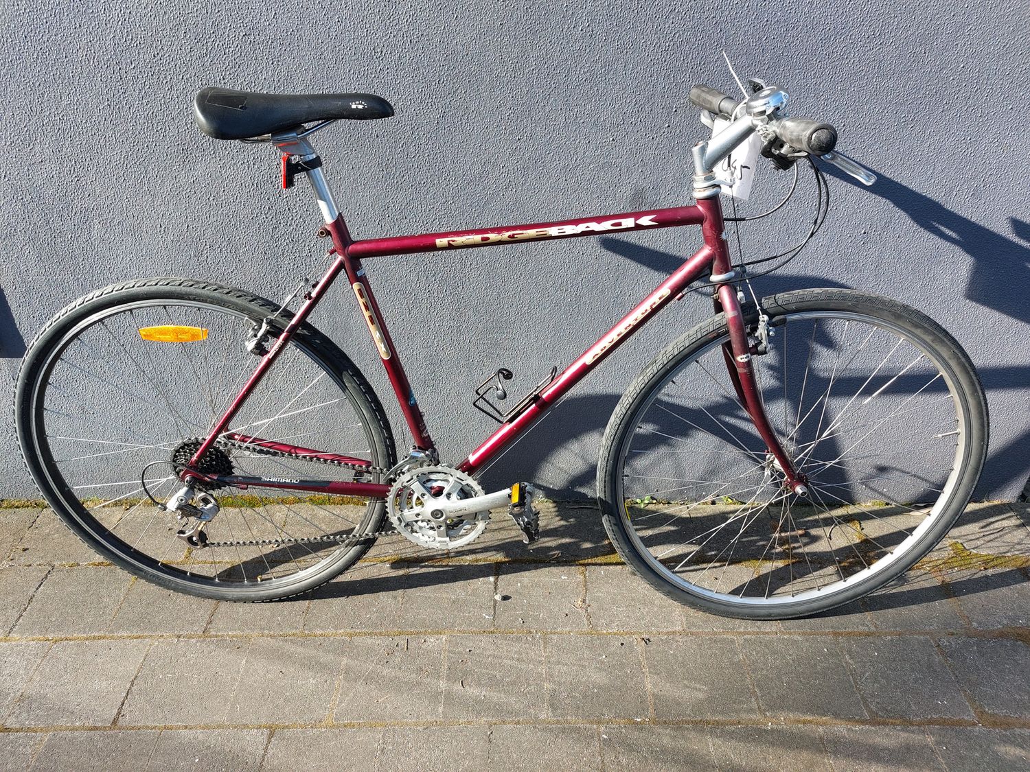 M/L - Hybrid - Ridgeback Adventure