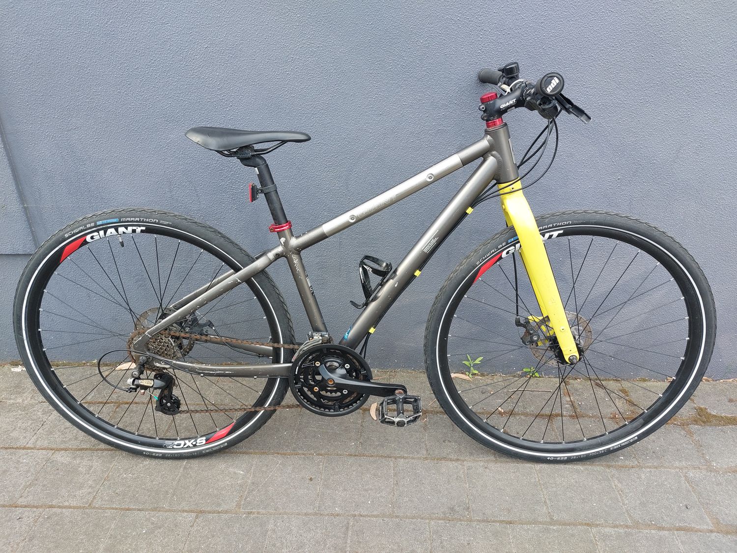 S - Hybrid - Giant Seek