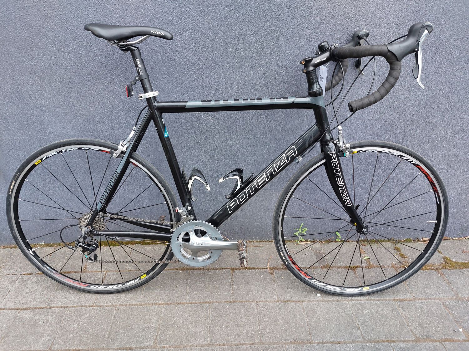 XL - Road - Potenza Vittoria