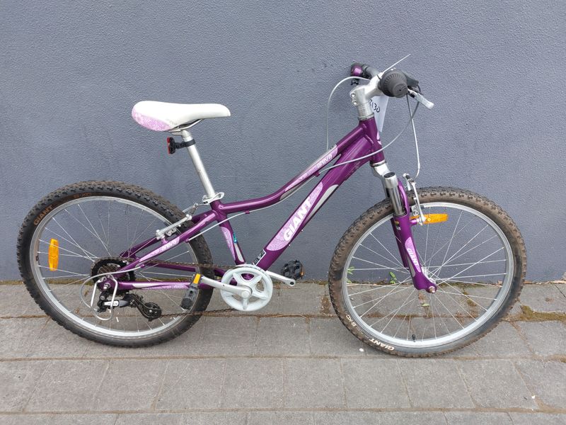 24 Inch - Kids - Giant  Areva
