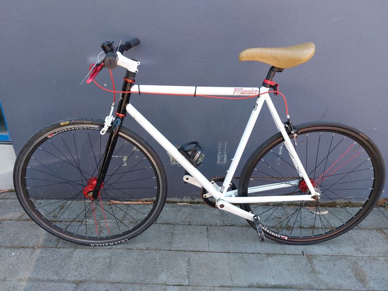 S/M - Hybrid - Mongoose Maurice