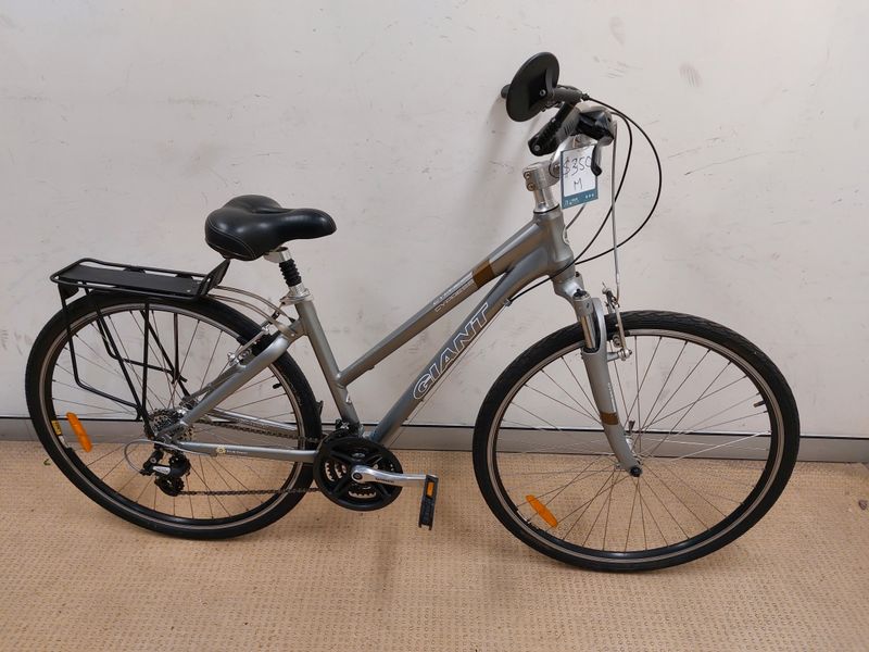 M - Hybrid - Giant Cypress