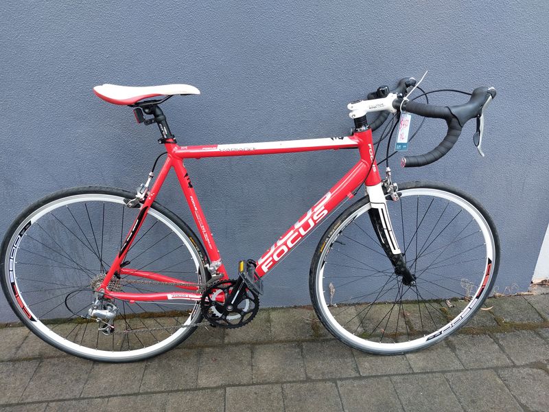 Focus  Variado - Road - XL