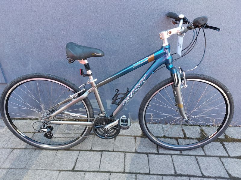 Giant  Cypress - Hybrid - M