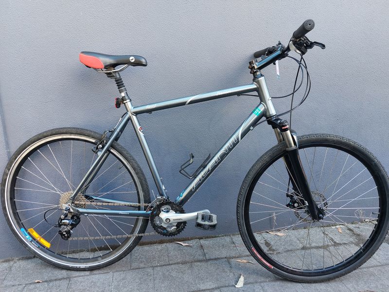 Avanti   Pioneer - Hybrid - L